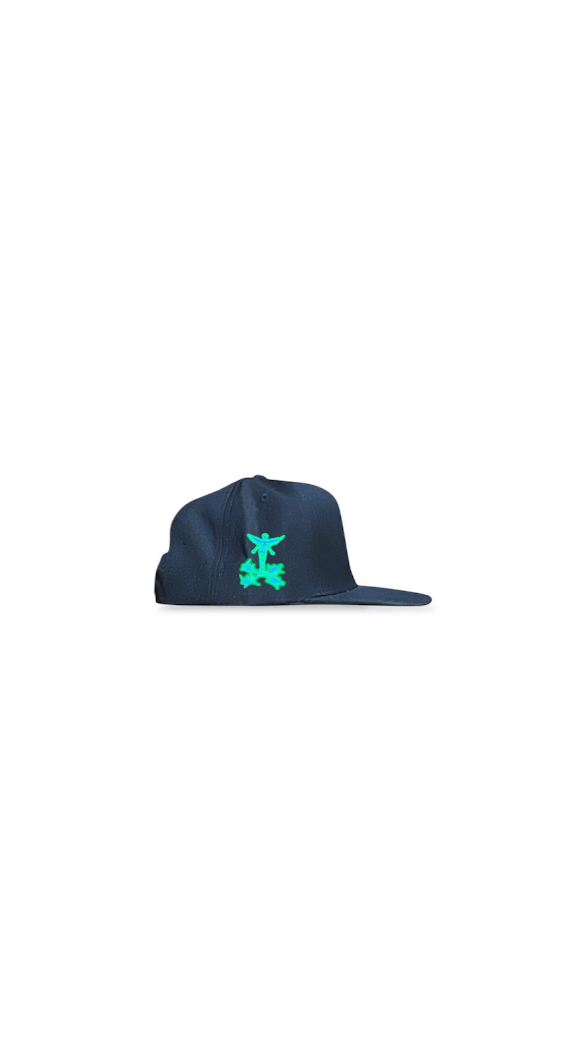 LIVE WIRE SNAPBACK